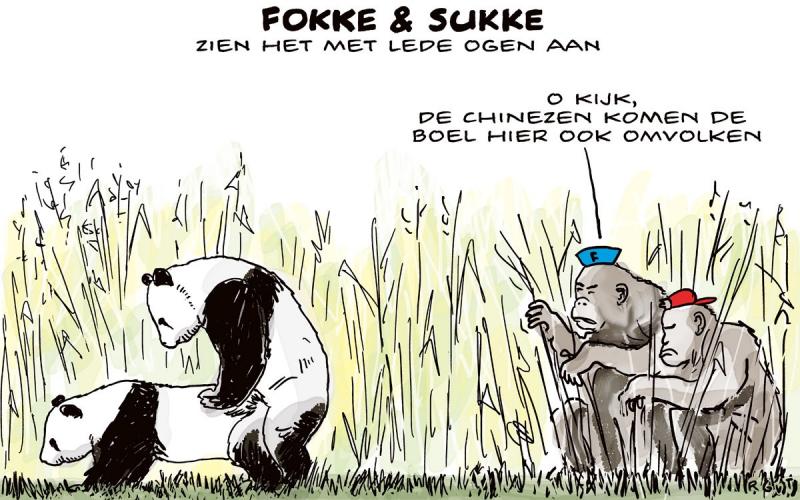 De Chinezen komen er aan