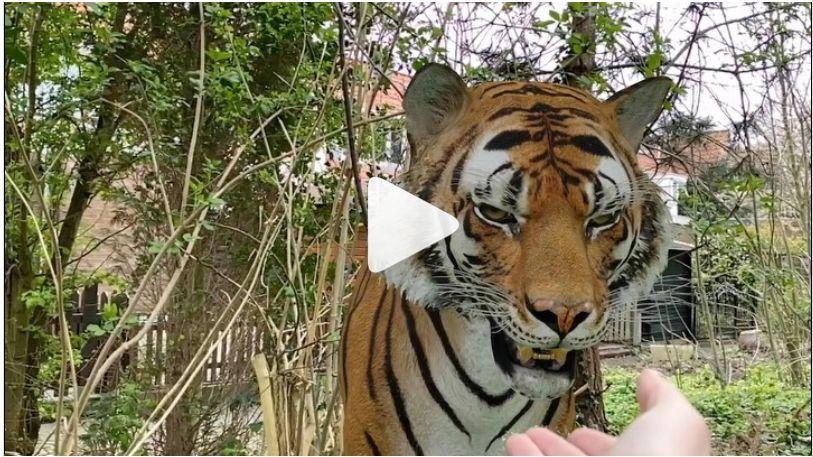 Tover een tijger in je huiskamer