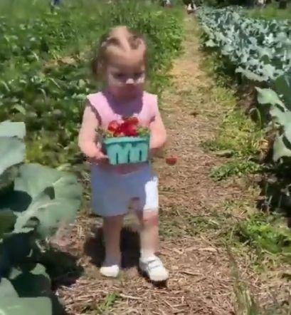 Life Briefly Explained