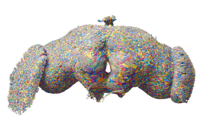 De ‘Google Maps van het fruitvliegenbrein’