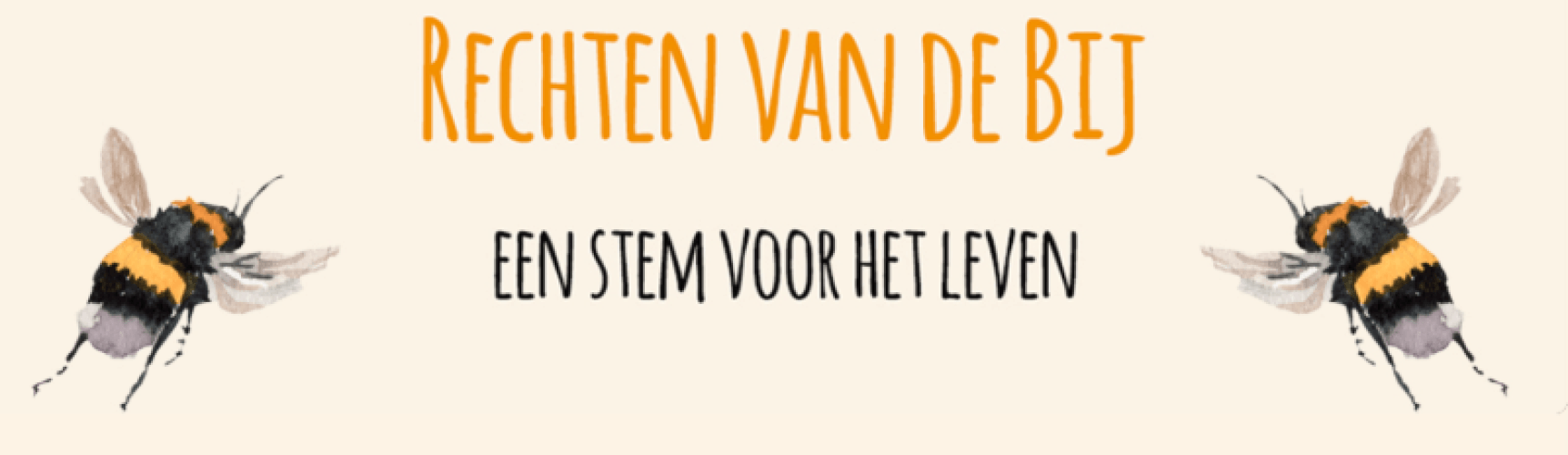 De bij laat van zich horen 🐝🌼