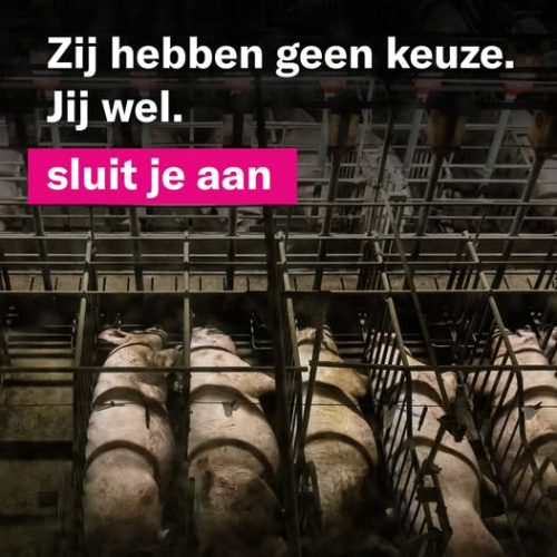Samen verschil maken