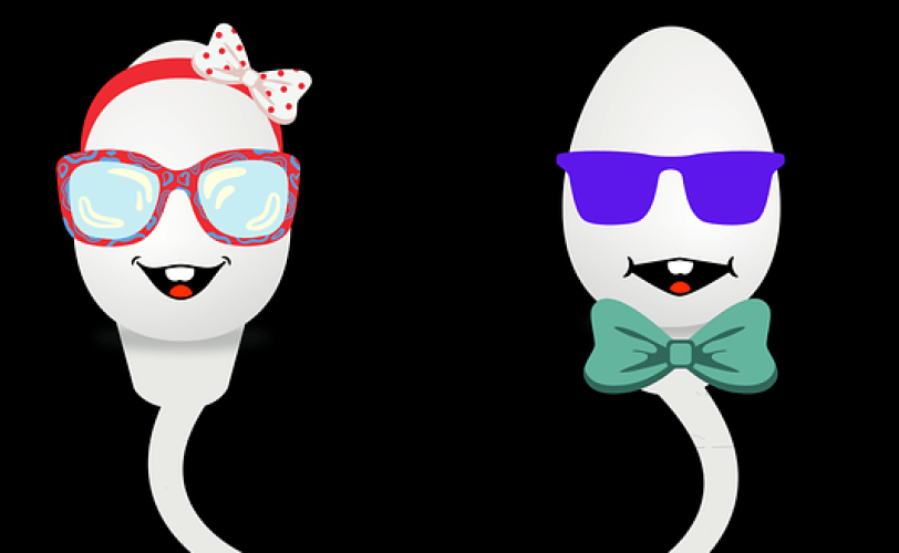 AI ontrafelt belangrijke stap samensmelten zaadcel en eicel