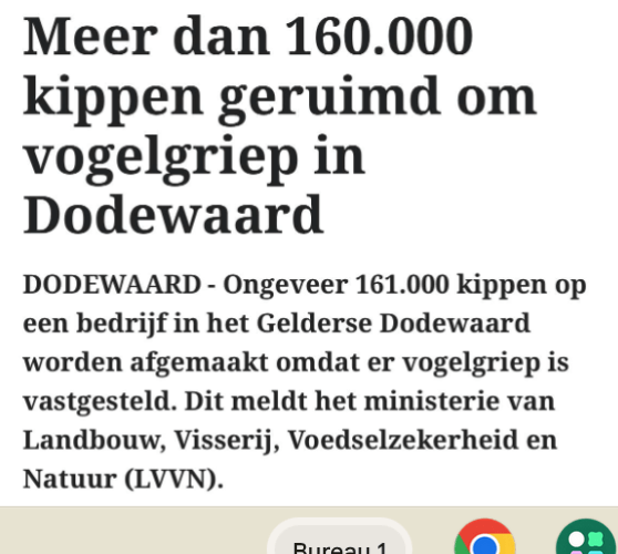 Vogelgriep is onstaan in de pluimveehouderij. Weg met die Megastallen