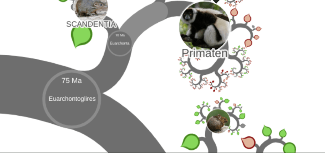 Tree of Life: verken de natuur