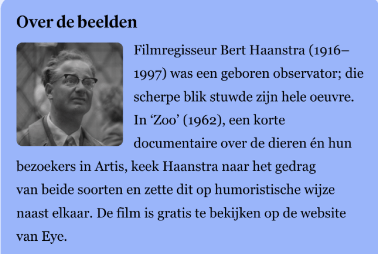 Bert Haanstra - Zoo