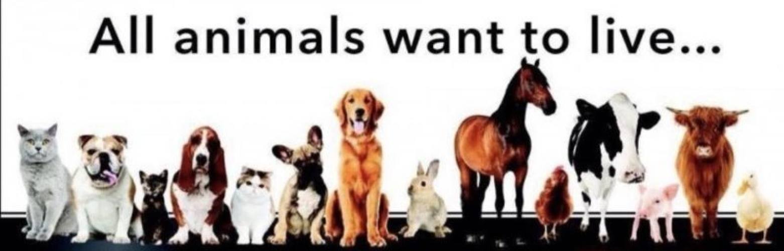Dieren hebben wél een eigen 'stemgeluid'