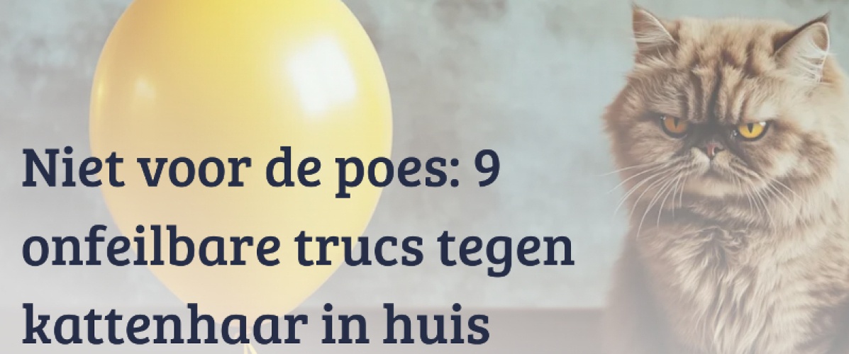 9 onfeilbare trucs tegen kattenhaar in huis
