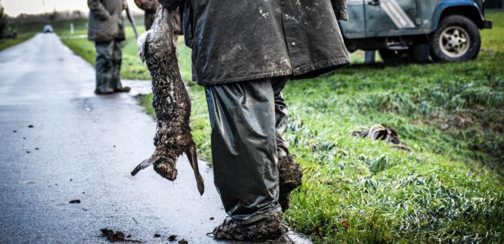 167.248 wilde dieren….die in Gelderland zijn doodgeschoten.