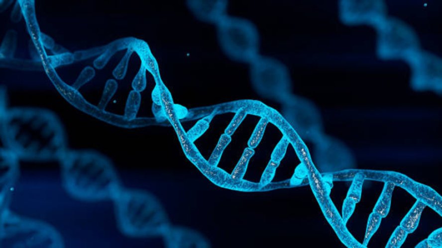 ‘De DNA-revolutie’