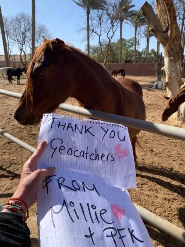 Thank you Millie , the tiny casino delivered a lot of gifts for us!
