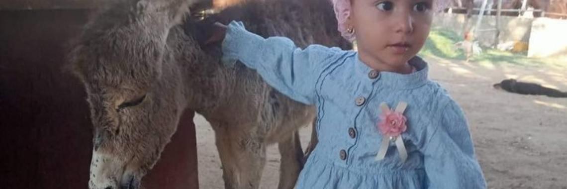 Girl enjoying the animals