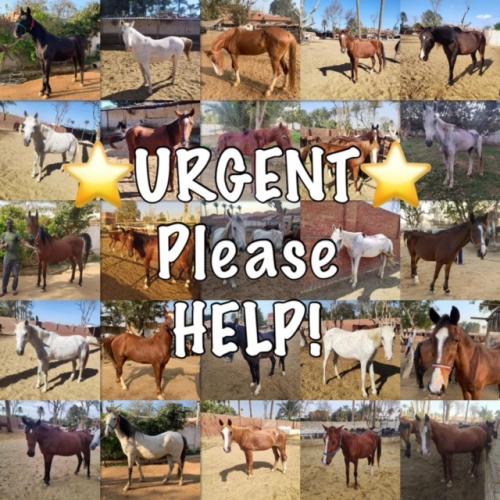 Make our world better