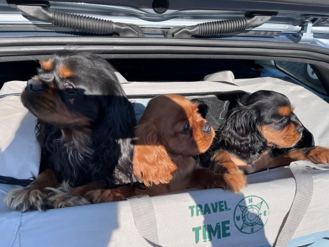 Travel time