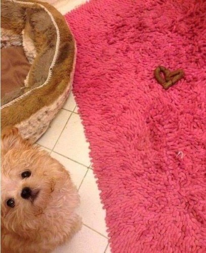 Valentijn!