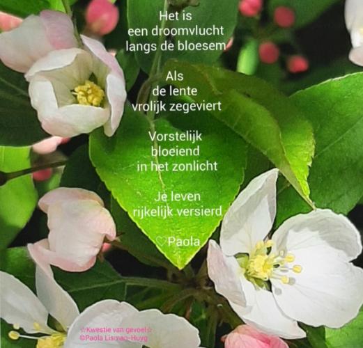 Gedicht verwerkt in een foto