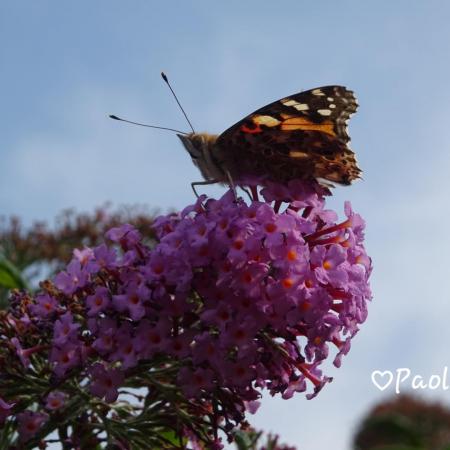 If you are wondering
Where to be now
Just follow your heart
As it knows how
In a moment of time
You 