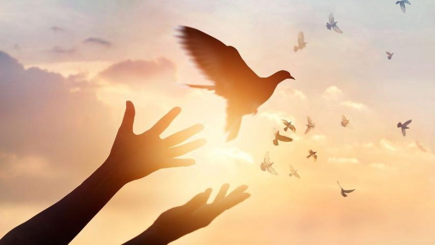 Accepteren en leven in vrijheid