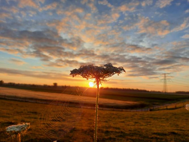 We dansen de zon op....