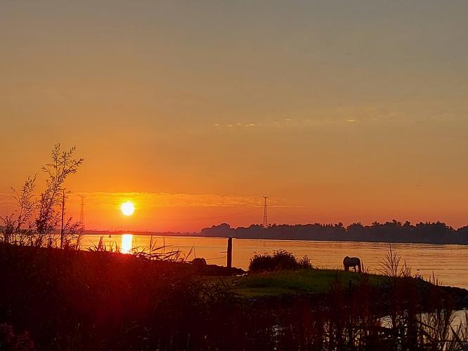 We dansen de zon op....