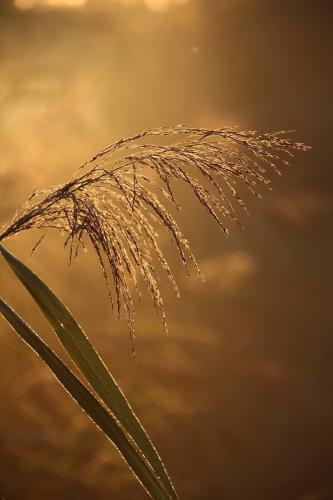 We dansen de zon op....