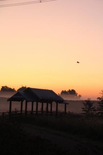 De ochtend gevangen!