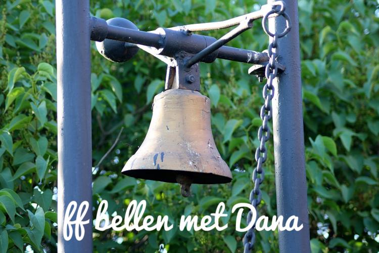 Leuke uitdaging, daar gaan vast goede aanbieders voor komen! Er is mij zin niet duidelijk Dana.. kan je het anders uitleggen? Dit is de zin van jou: "Mocht één en ander onduidelijk zijn, trek aan de bel en ik zal pogen het nog iets verwarrender te schrijven."😂😂😂