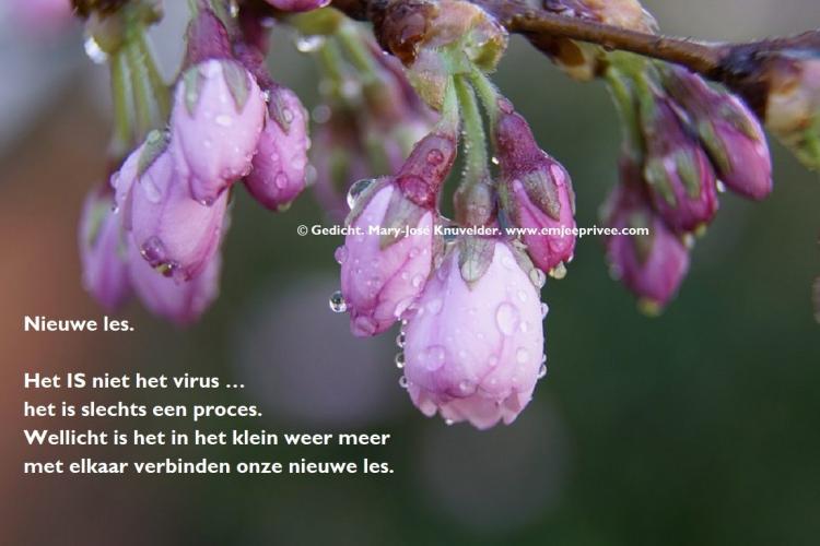 GEDICHT . Nieuwe les