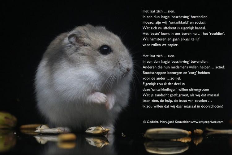 It shows itself. Poem.