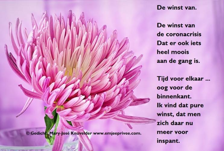 De winst van . Gedicht/Gevoelsjournaal