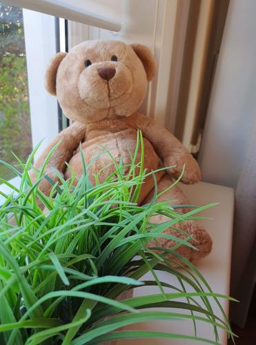 Paasspeurtocht/ paasgroeten