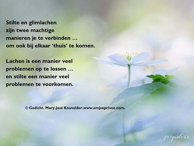 Stilte en glimlachen / Gedicht.