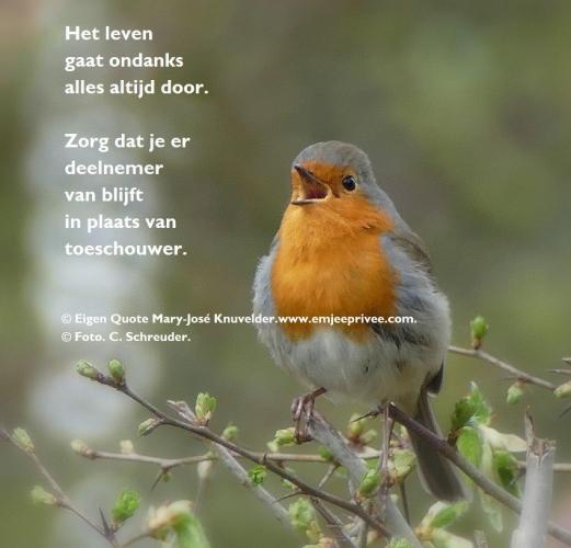 Het leven / Eigen Quote.