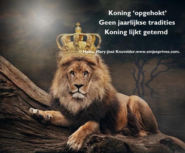 Haiku /  Koning 'opgehokt'