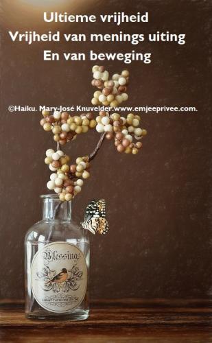 Ultimate Freedom/Haiku