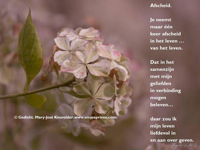 Afscheid / Gedicht