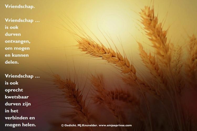Vriendschap / Gedicht