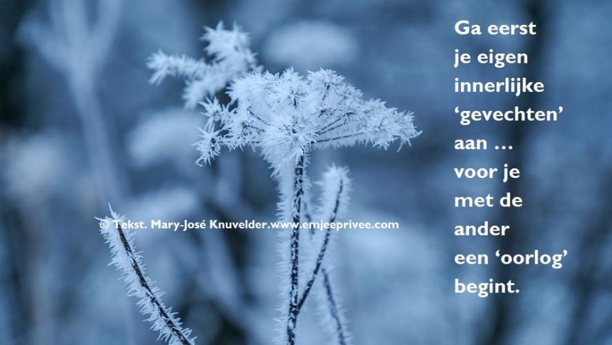 Innerlijke gevechten / Tekst