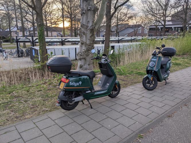 De letterlijke vergroening van de omgeving