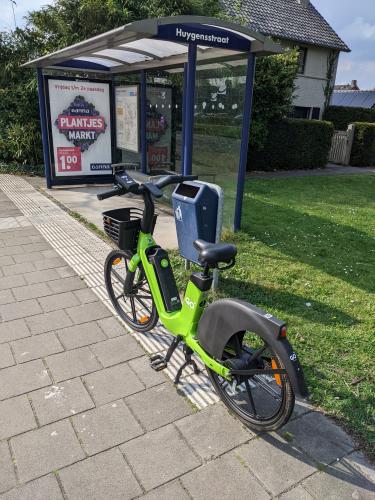 De letterlijke vergroening van de omgeving