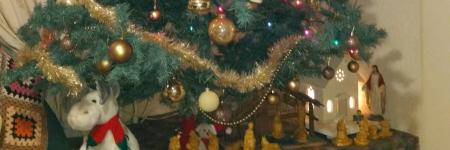 Hoe ziet jouw kerstboom er uit?