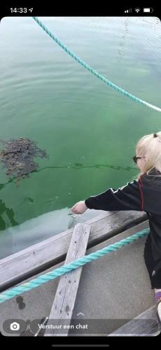 Norway part 2 | Valdimir