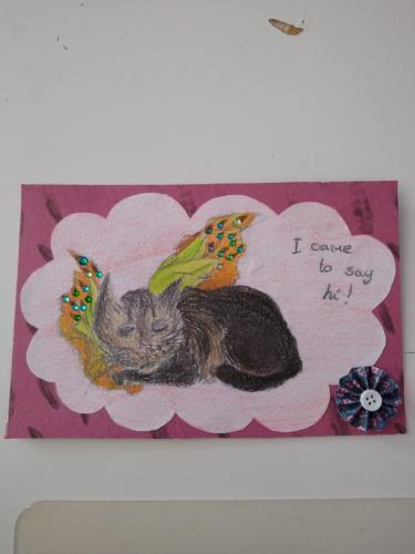 Findus the butterfly (With story)