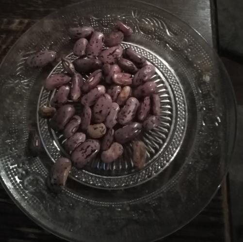 Ik had de kievitsbonen in de tuin groeien en deze zijn weer andere variatie