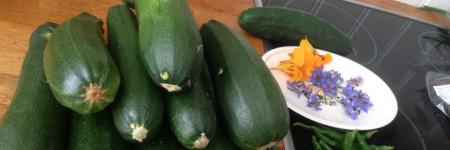 are zucchini poisonous