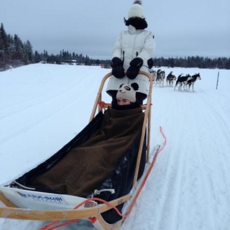 Encaustichris Lapland december 2013 - januari 2014. Alle dagen zwaar bewolkt, grijs/blauw, donker: