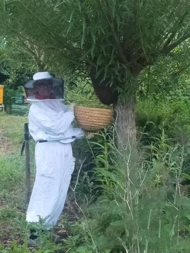 Allergische reachties, ook een natuurlijk proces, maar allergieen bouwen op, nieste ik vroeger wel eens van pollen (vooral bomen in februari) tegenwoordig neem ik er zelfs pilletjes voor in. Ook voor een bijensteek ben ik allergisch geworden, en dat is niet handig voor een imker.