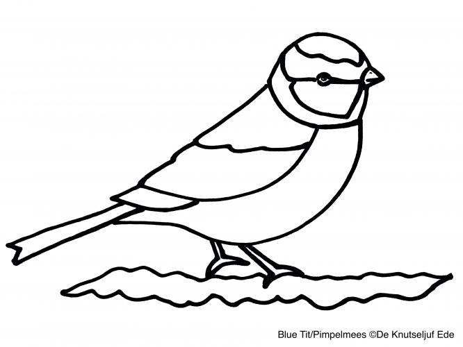 <a class="removable-mention" data-mentionid="31783" href="/useroverview/31783/Hans%20van%20Gemert">@Hans van Gemert</a> Oh? Ok.. maar wat heb ik hier dan getekend, weet jij dat dan? Ik dacht dat ik een pimpelmeesje nagetekend had..: