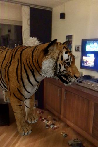 Wat toevallig, deze tijger stond ook bij mij in de kamer 😆