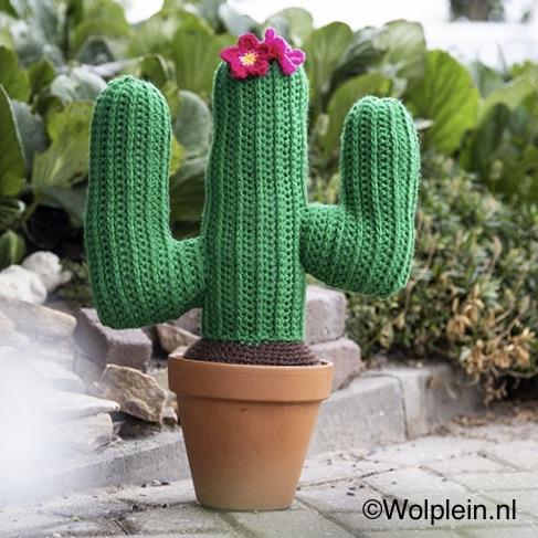 Liever een cactus haken? Kijk dan hier voor het gratis haakpatroon van deze schattige XL cactus! <a href="https://www.wolplein.nl/patronen/haakpatronen/haakpatroon-xl-cactus" class="linkified" target="_blank">https://www.wolplein.nl/patronen/haakpatronen/haakpatroon-xl-cactus</a>